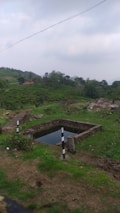 A serene landscape featuring a square stone water reservoir surrounded by lush green grass and vegetation. The background includes hilly terrain with scattered trees and a distant red-roofed building. The sky is overcast with light gray clouds, creating a calm atmosphere.