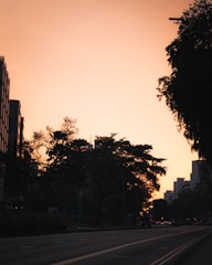 Crisp ink illustration showing children exploring a quiet city street at dusk.