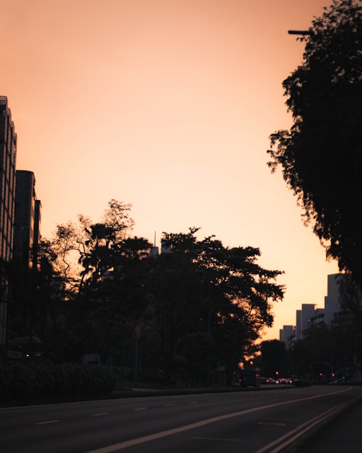 A quiet city street at dusk with soft golden light casting long shadows, hinting at unseen lives.