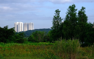 Tall residential buildings are visible in the background, set against a backdrop of lush, green foliage and trees that occupy the foreground. The sky is partially cloudy, creating a contrast between the natural landscape and urban development.