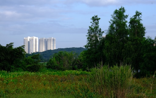Tall residential buildings are visible in the background, set against a backdrop of lush, green foliage and trees that occupy the foreground. The sky is partially cloudy, creating a contrast between the natural landscape and urban development.