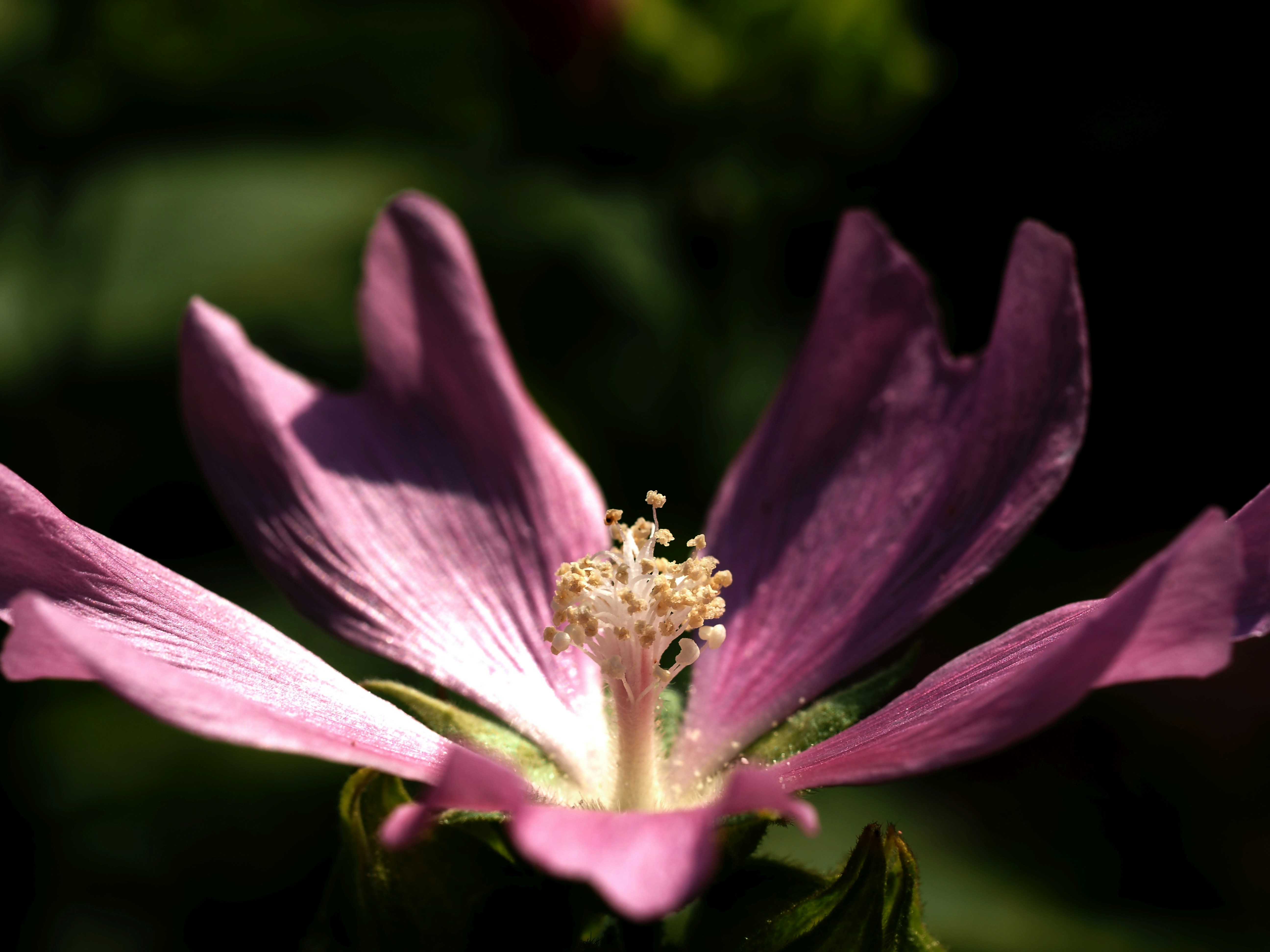Photo by juriia56