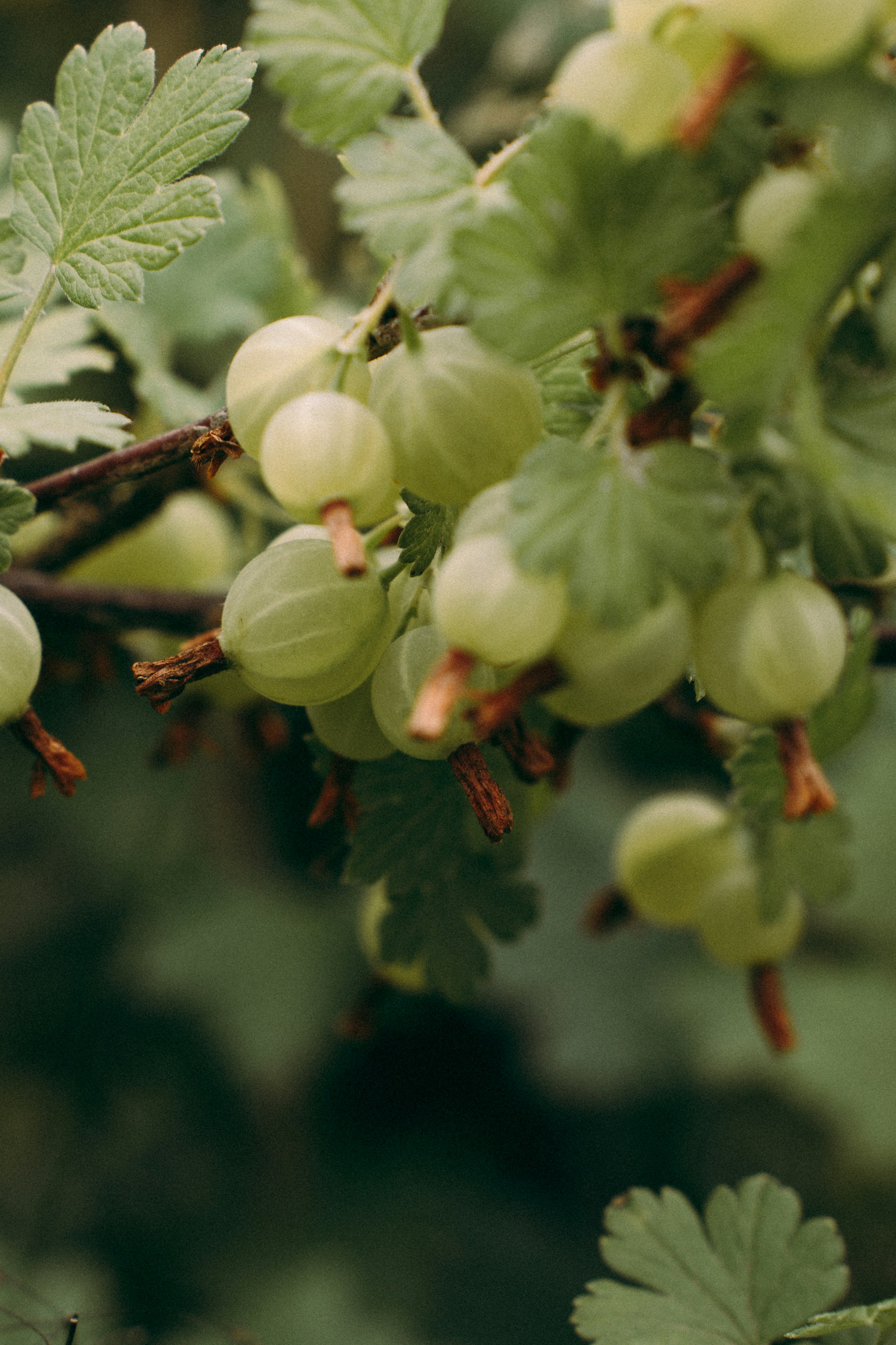 Photo by dashakrotiphoto