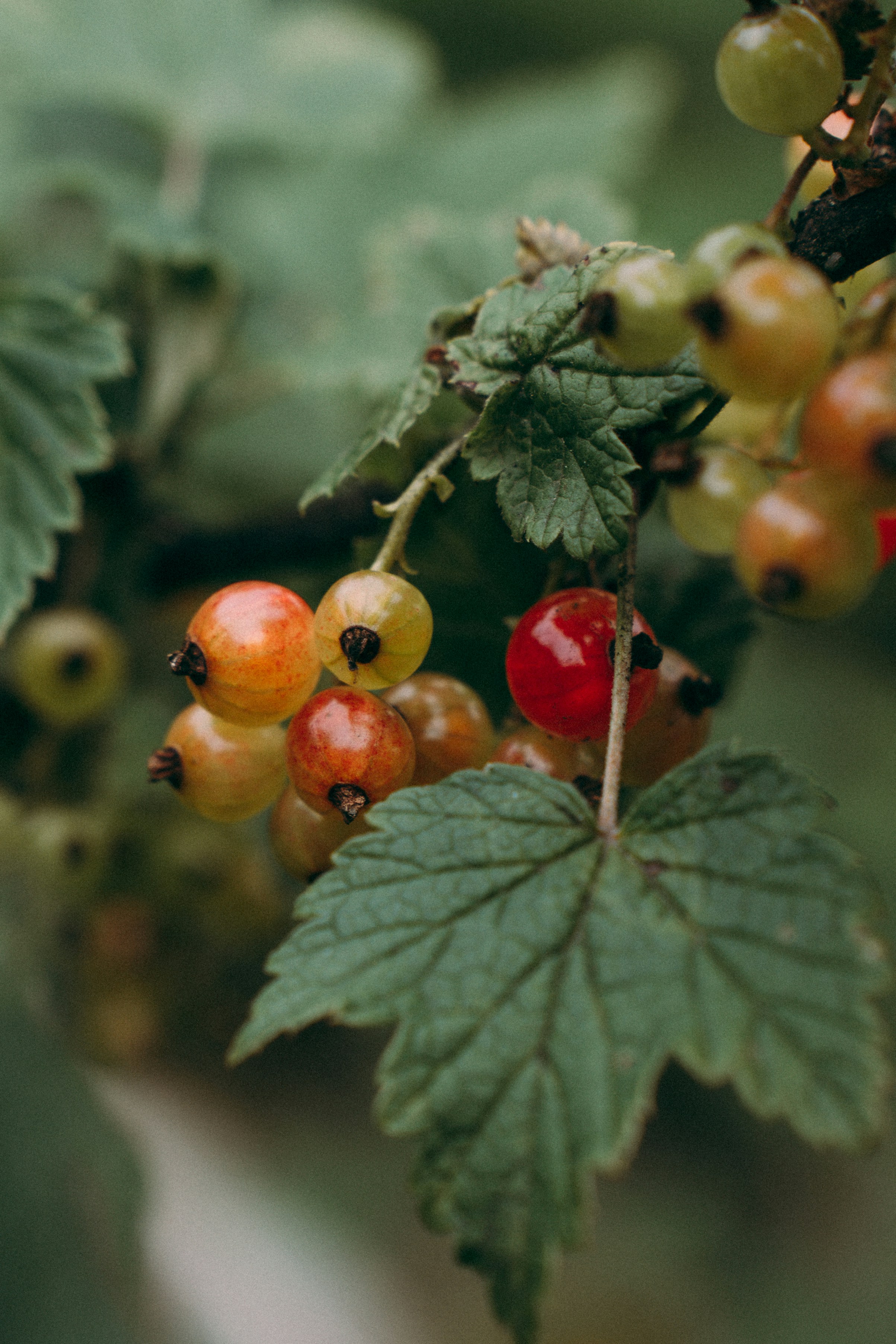 Photo by dashakrotiphoto