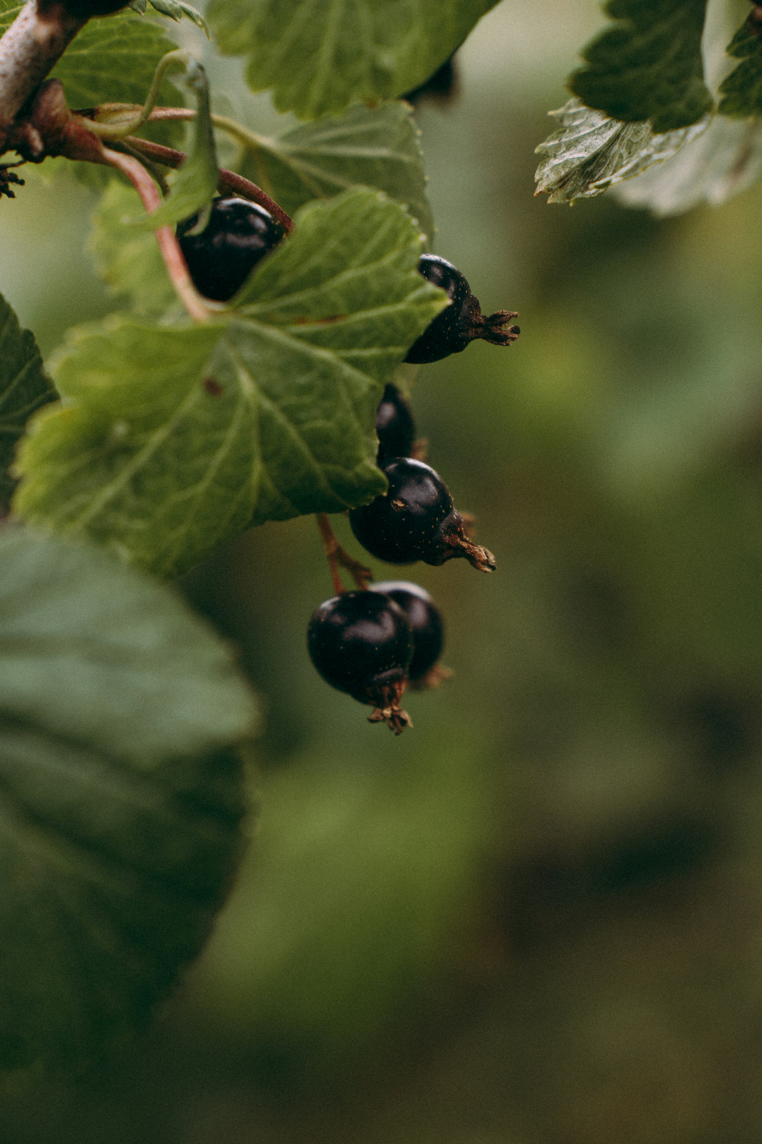 Photo by dashakrotiphoto