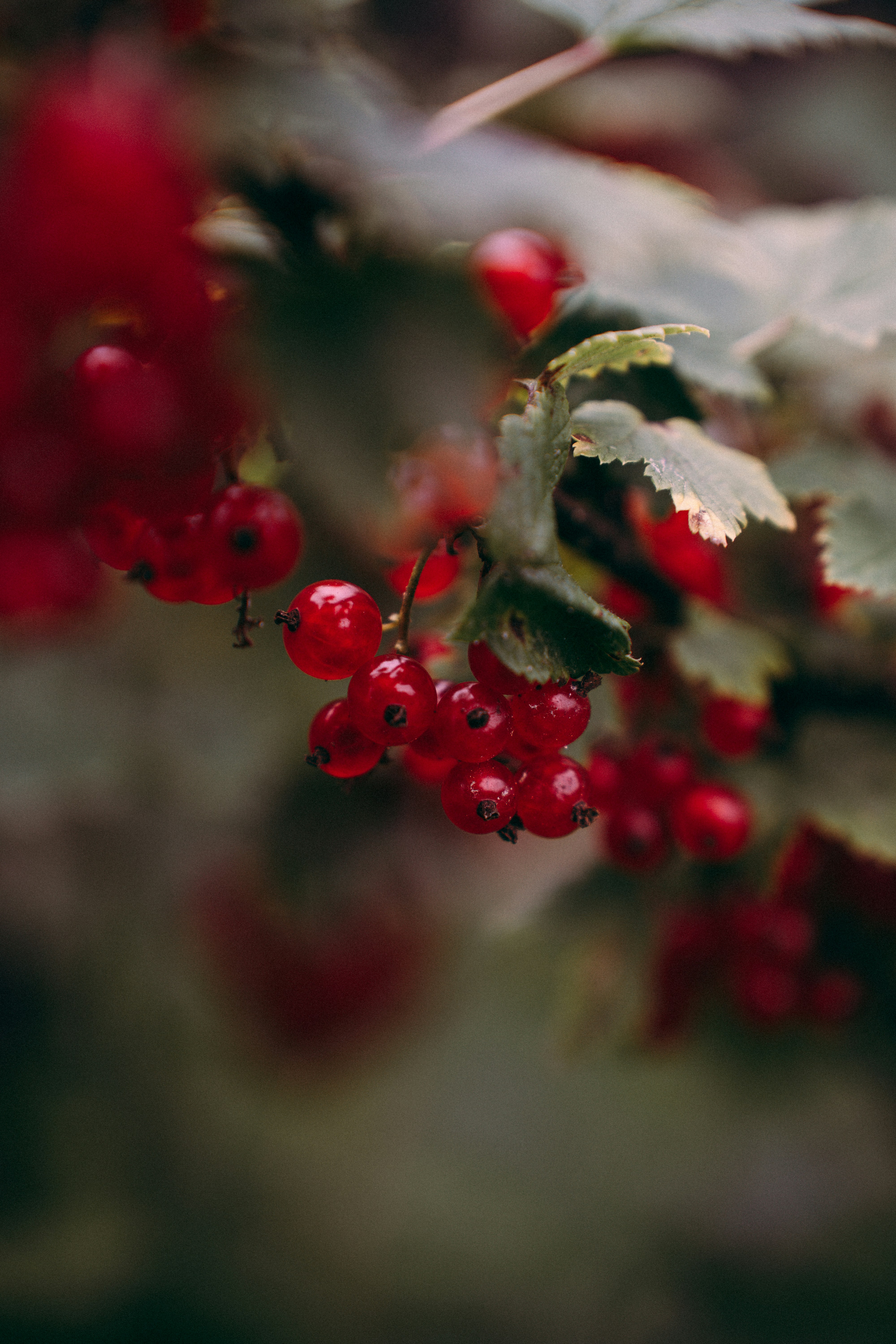 Photo by dashakrotiphoto