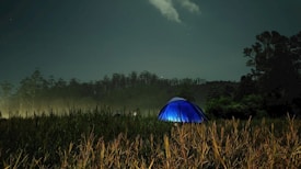 A blue tent is illuminated against the backdrop of a night sky, surrounded by tall grass and dense trees in the distance. A few stars are visible, adding to the serene atmosphere.