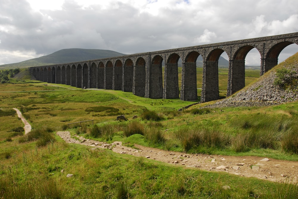 a train traveling over a bridge over a lush green field