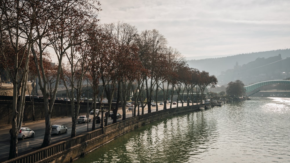 un plan d’eau entouré d’arbres et d’un pont