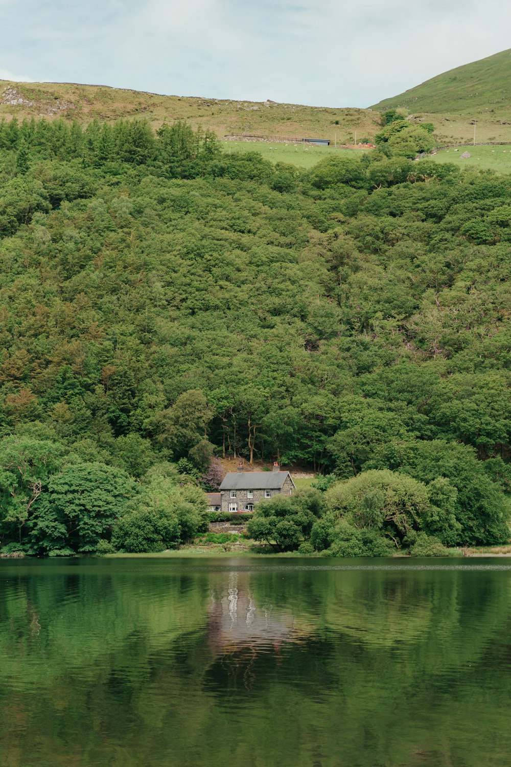 a lake surrounded by a lush green hillside