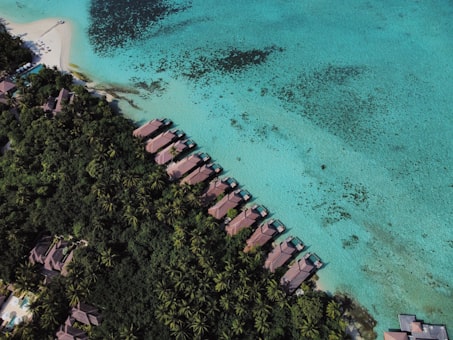Fihalhohi Island Resort Day Pass