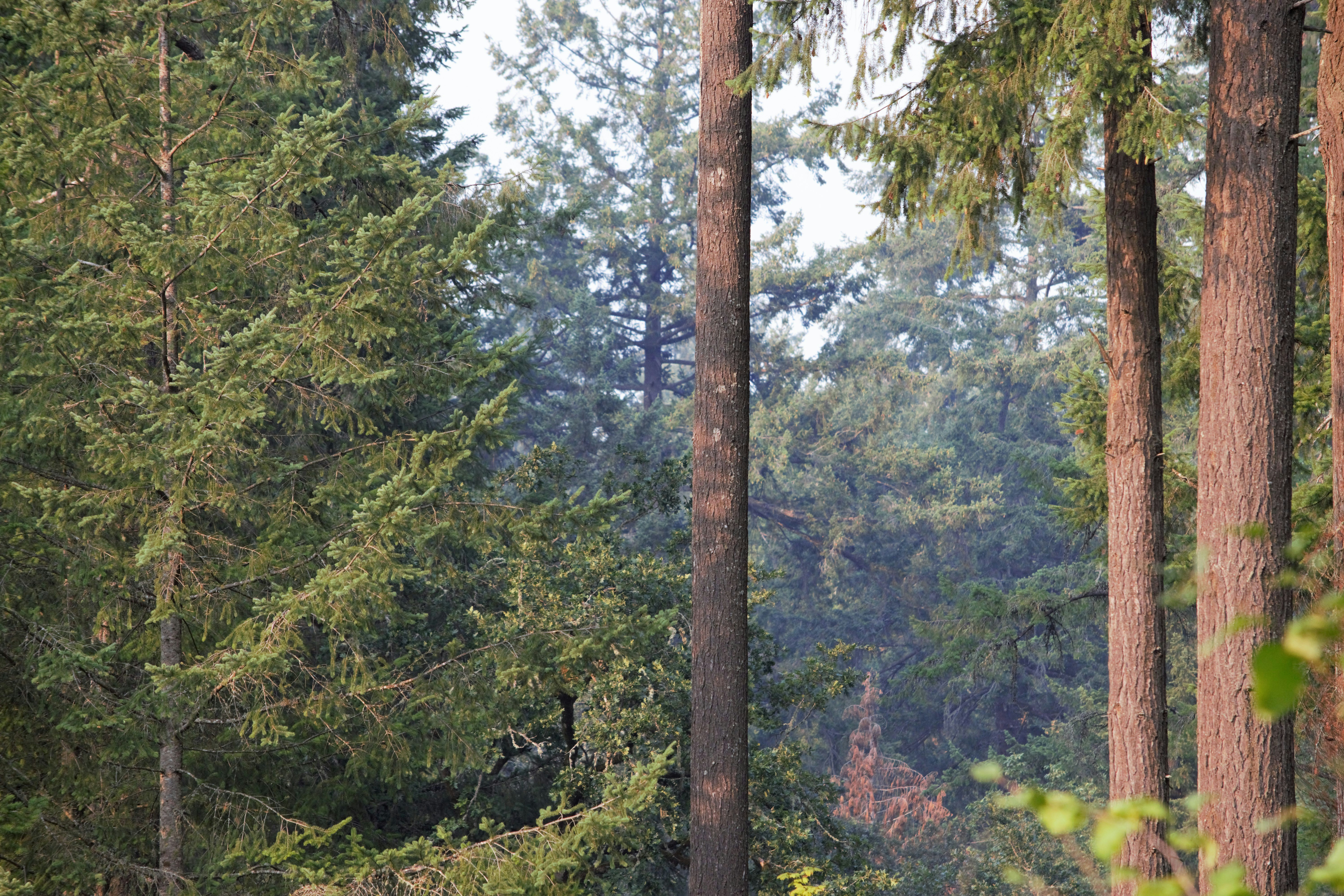 Photo by fr0ggy5_fr0ggy5