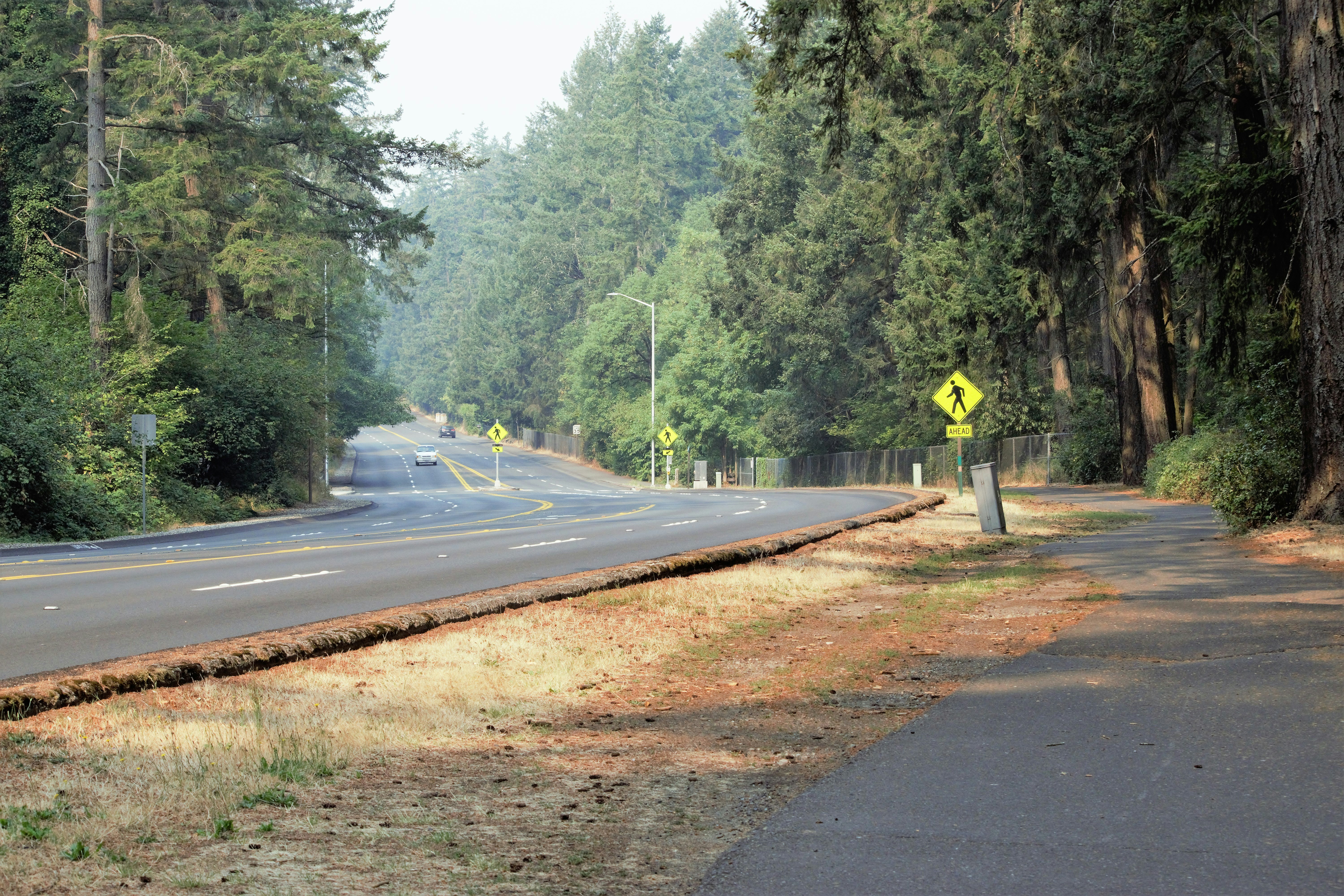 Photo by fr0ggy5_fr0ggy5