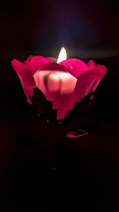 Rose Petal