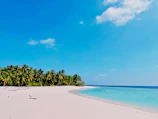A serene sunrise over a secluded beach with crystal-clear waters and palm trees.