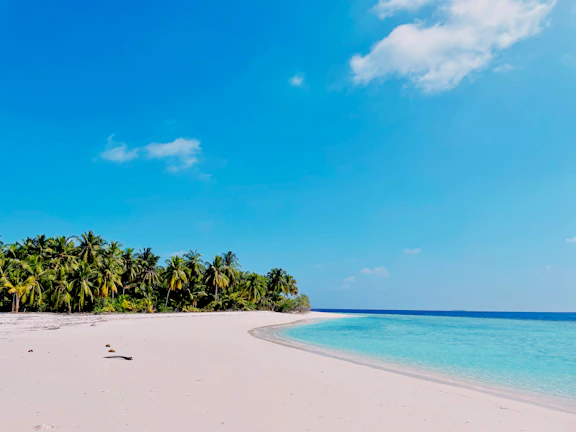 A serene sunrise over a secluded beach with crystal-clear waters and palm trees.