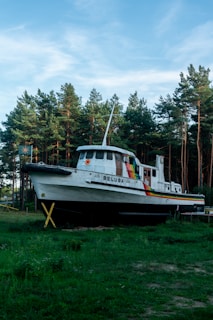 A white boat with the name 'BELuga' painted on the side, featuring a colorful rainbow stripe running along the hull, is situated on land surrounded by tall pine trees. The sky is clear with a few scattered clouds.