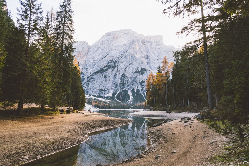 a river running through a forest next to a mountain