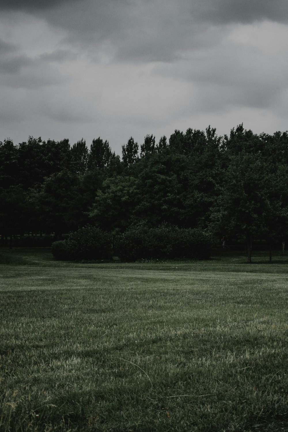 a black and white photo of a field with trees in the background