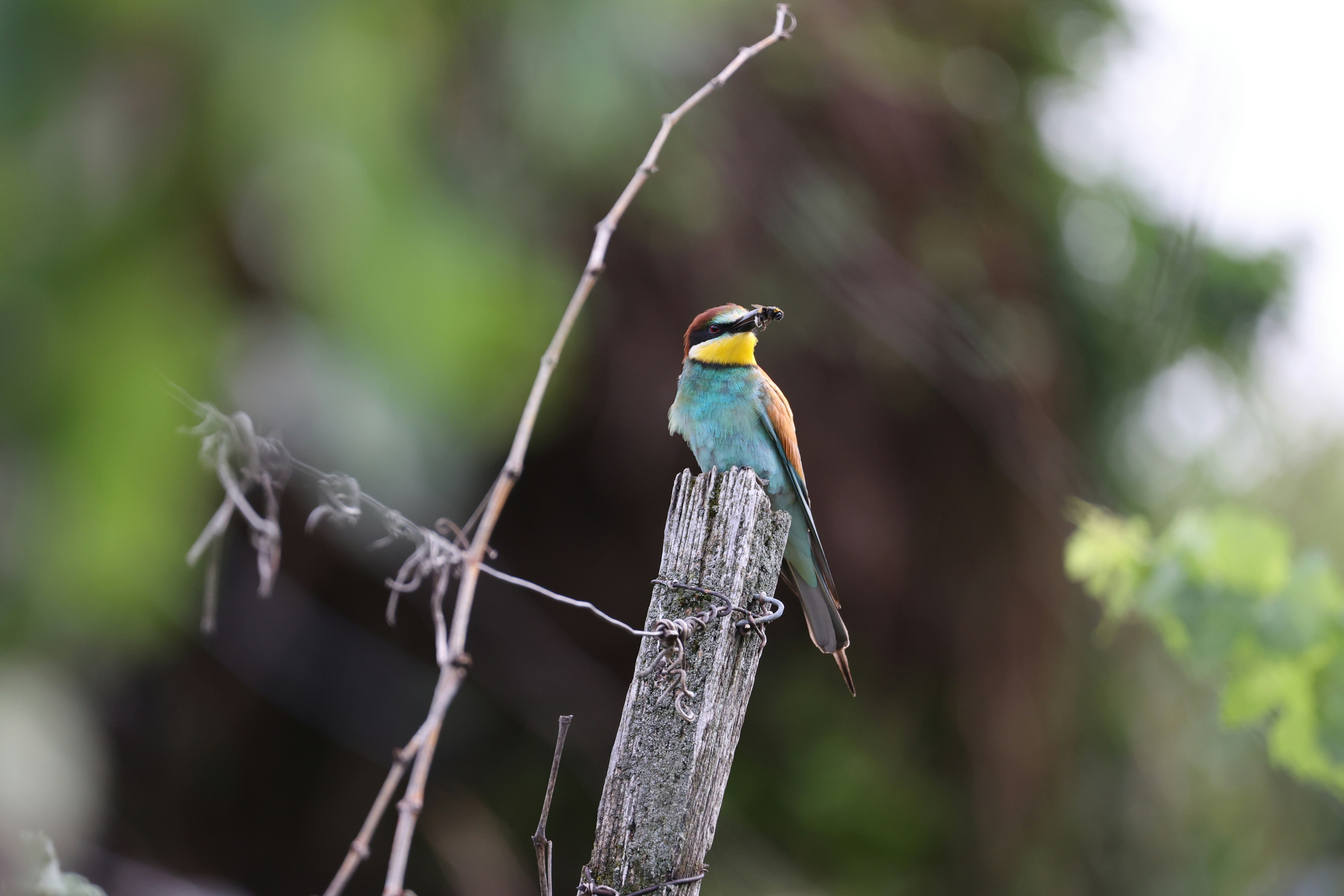 Photo by lukasscheuter