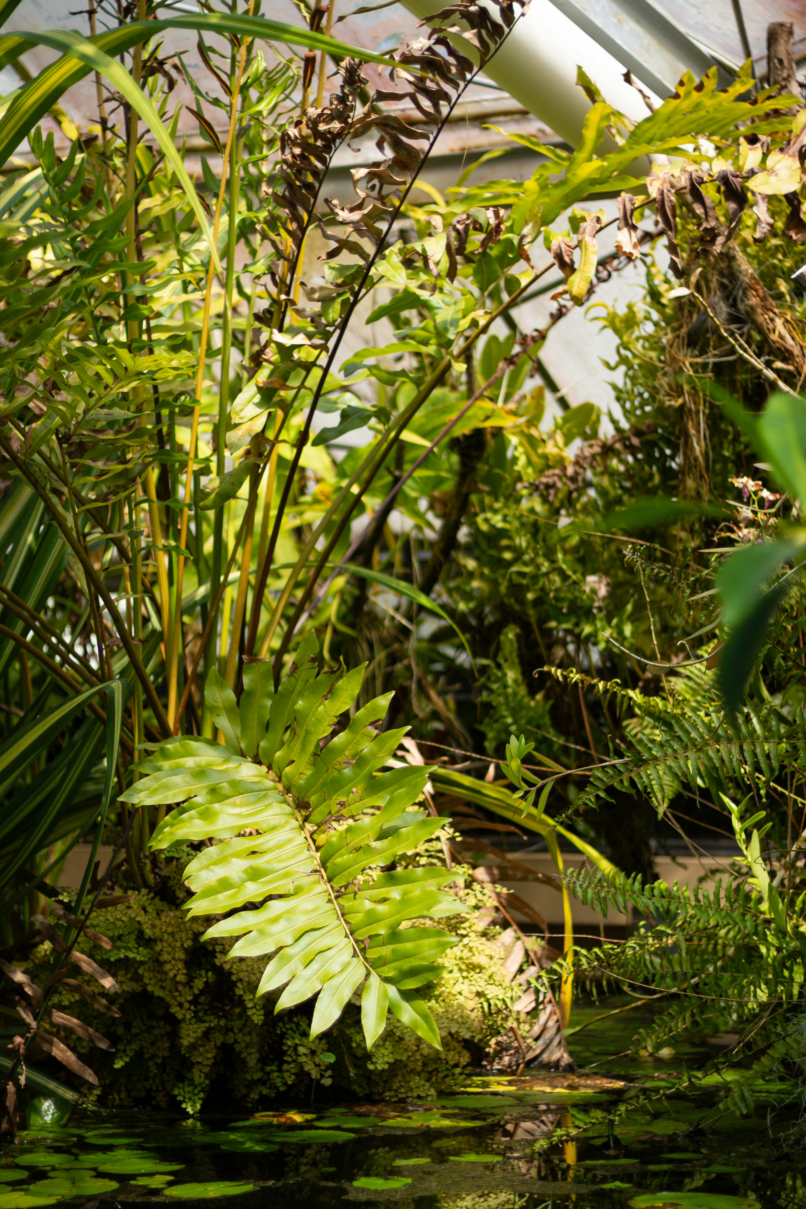 Photo by salamonbogi