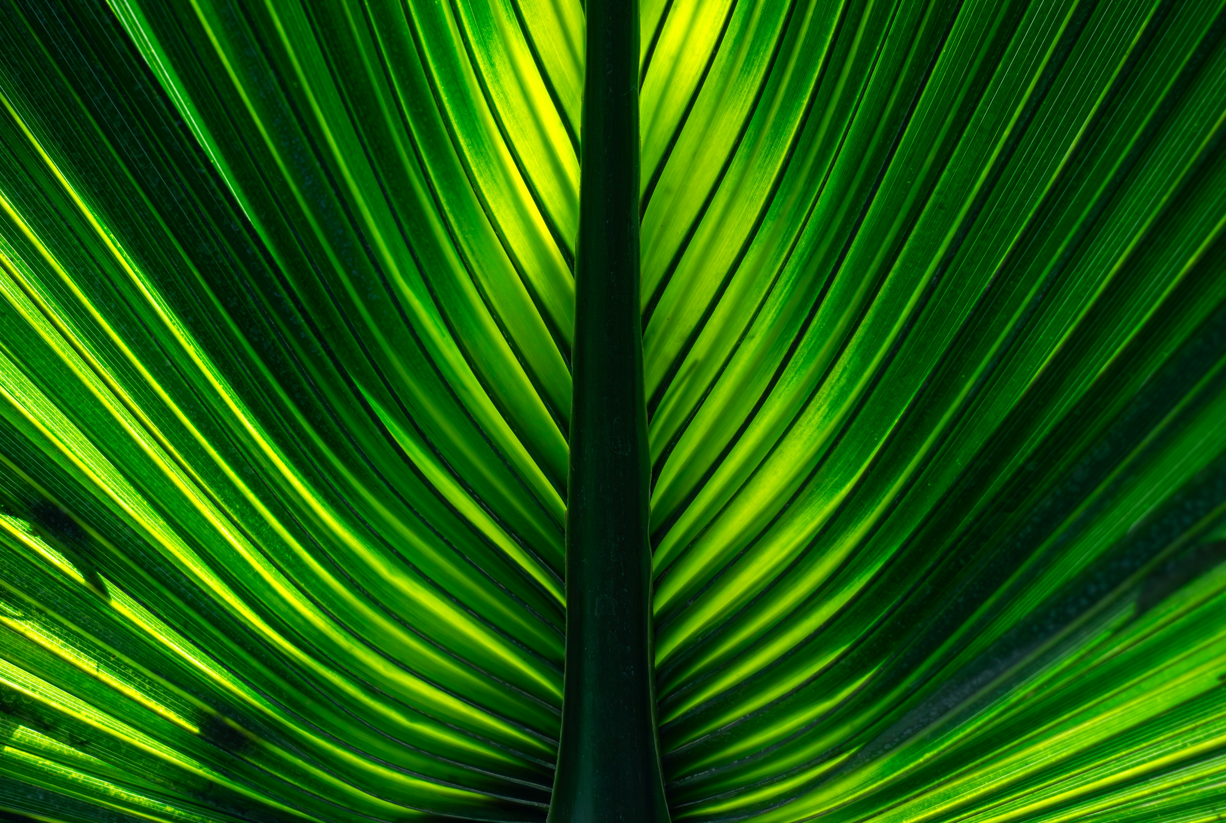 Photo by salamonbogi