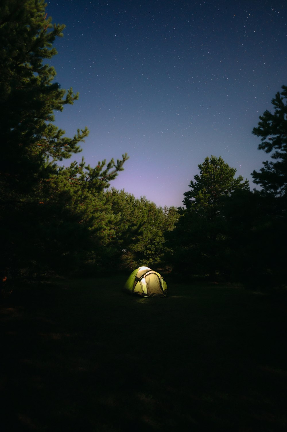 a green tent sitting in the middle of a forest