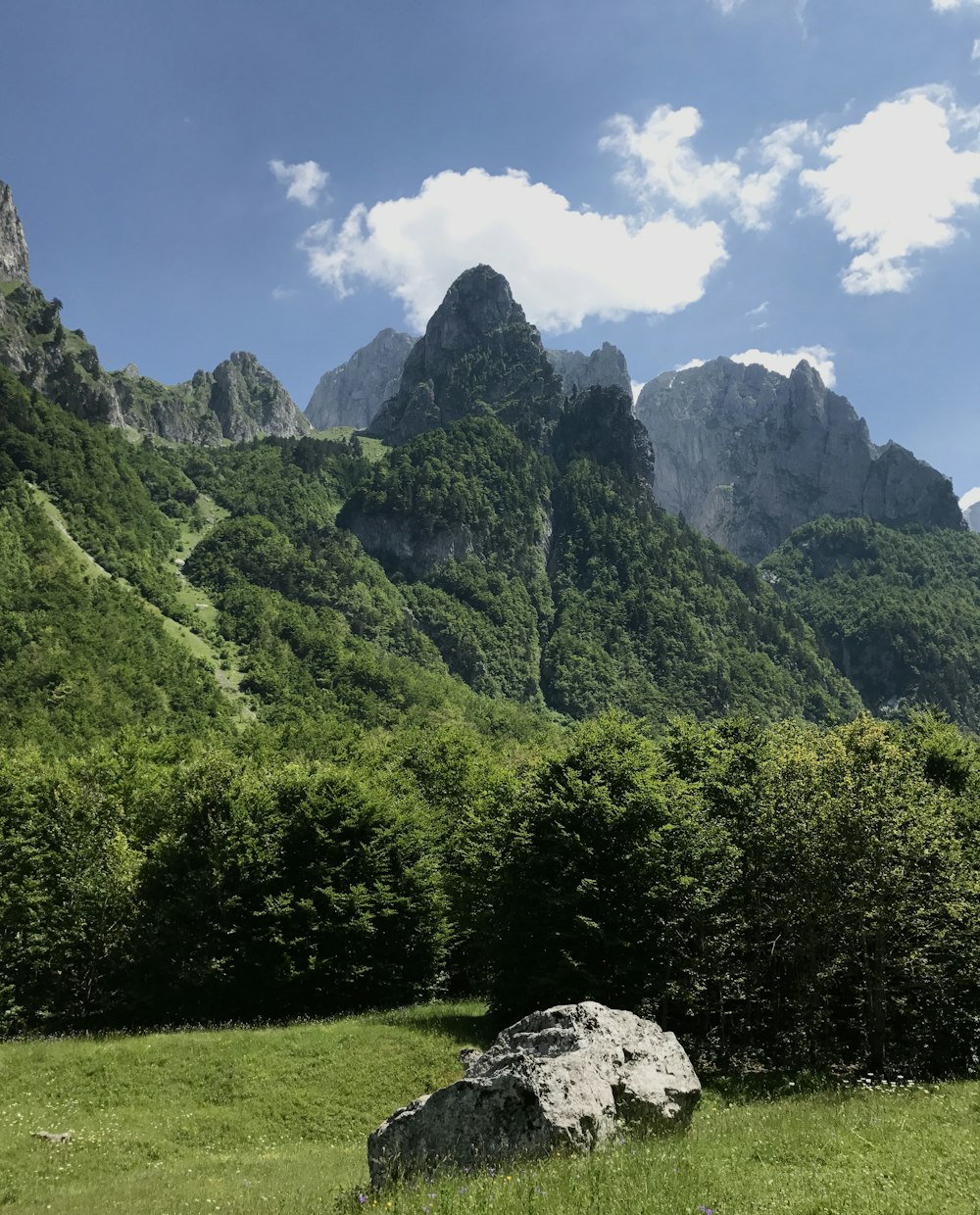 una grande roccia seduta nel mezzo di un campo verde lussureggiante