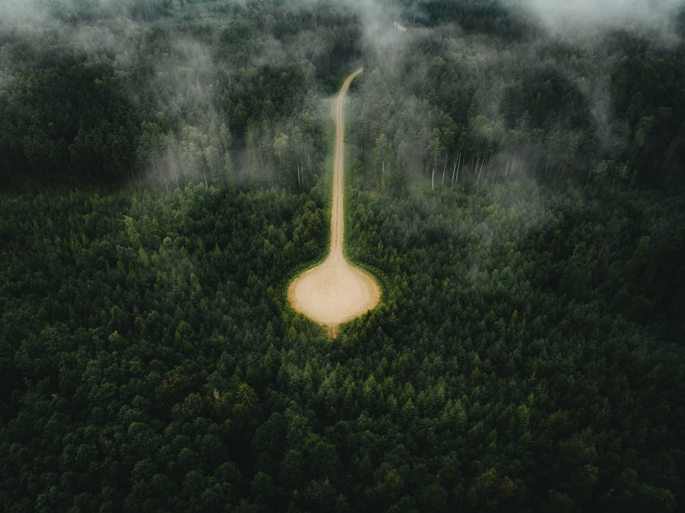 an aerial view of a road in the middle of a forest