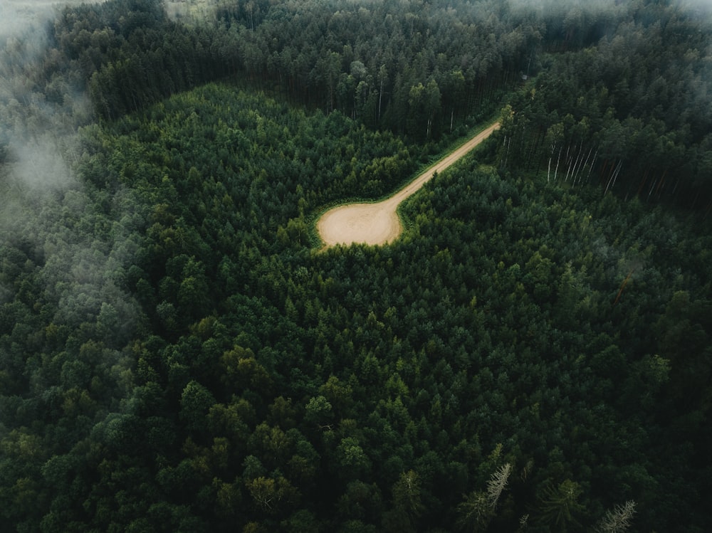 an aerial view of a road in the middle of a forest