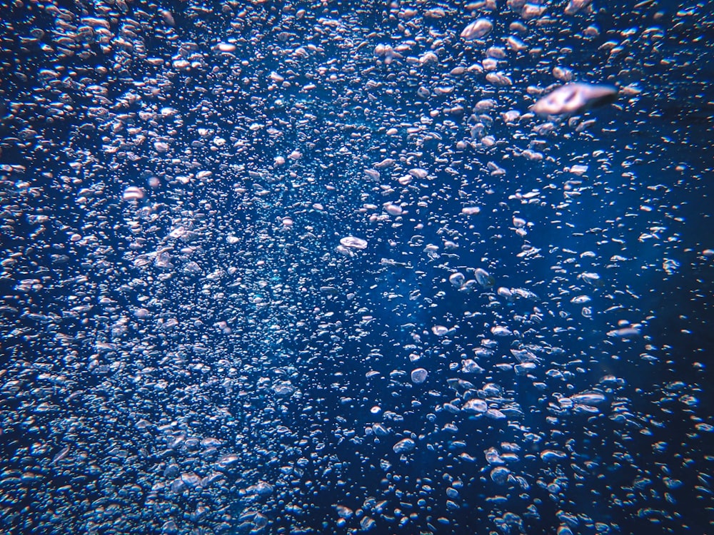 a large amount of bubbles floating in the water