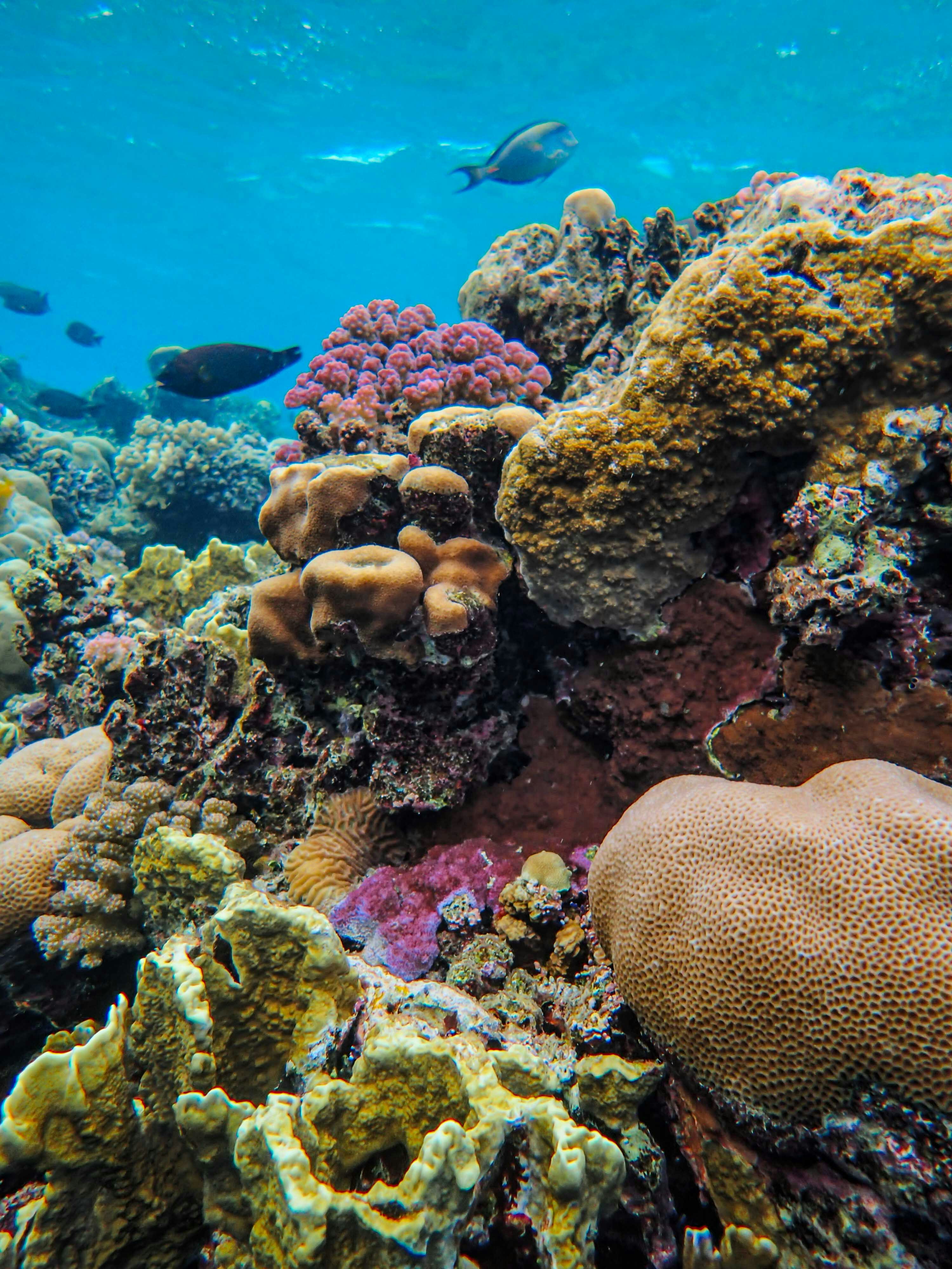 Photo by francesco_ungaro