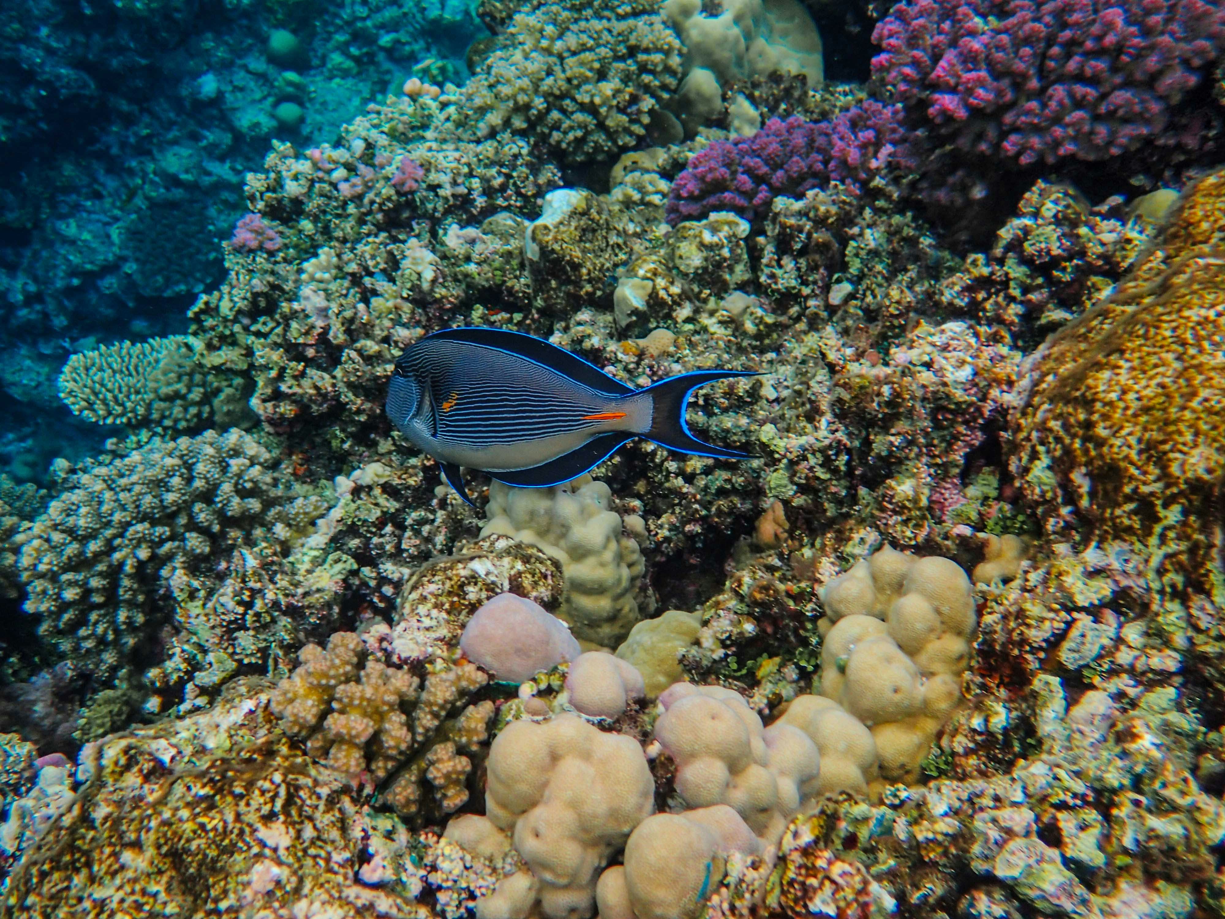 Photo by francesco_ungaro