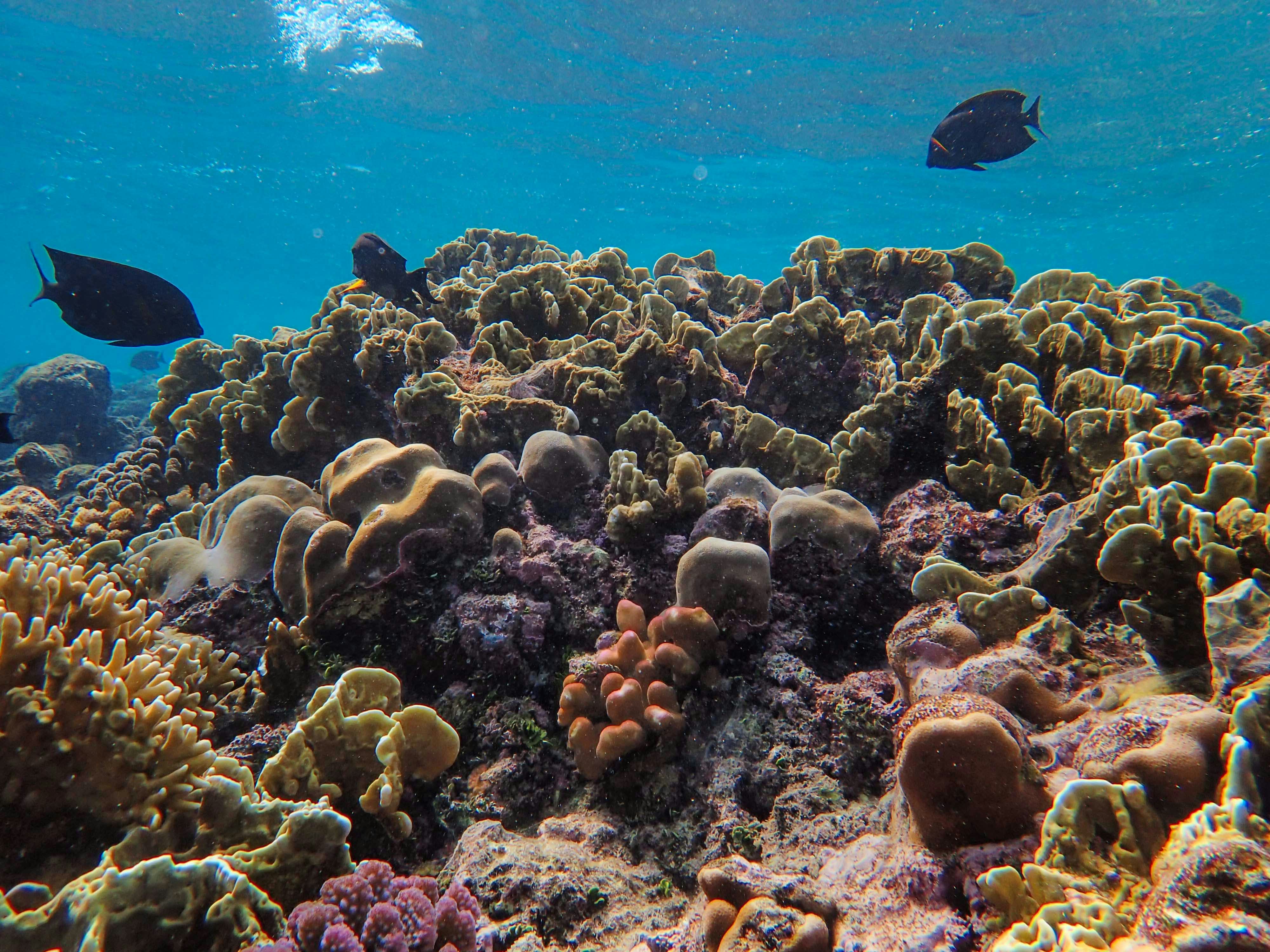 Photo by francesco_ungaro