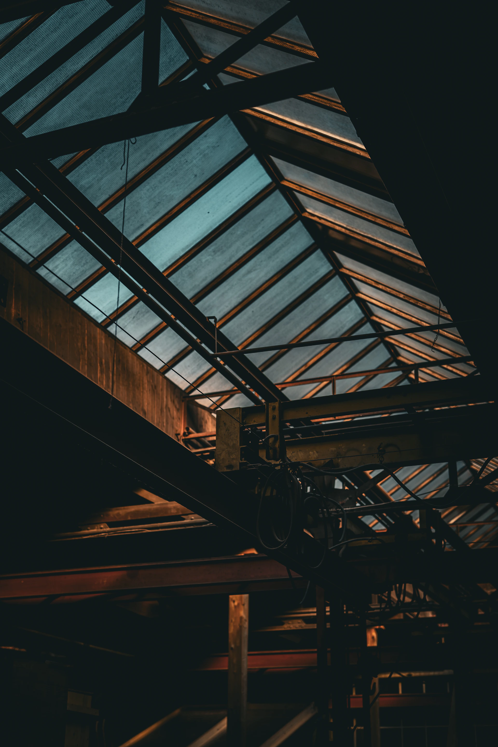 woman holding dried flower