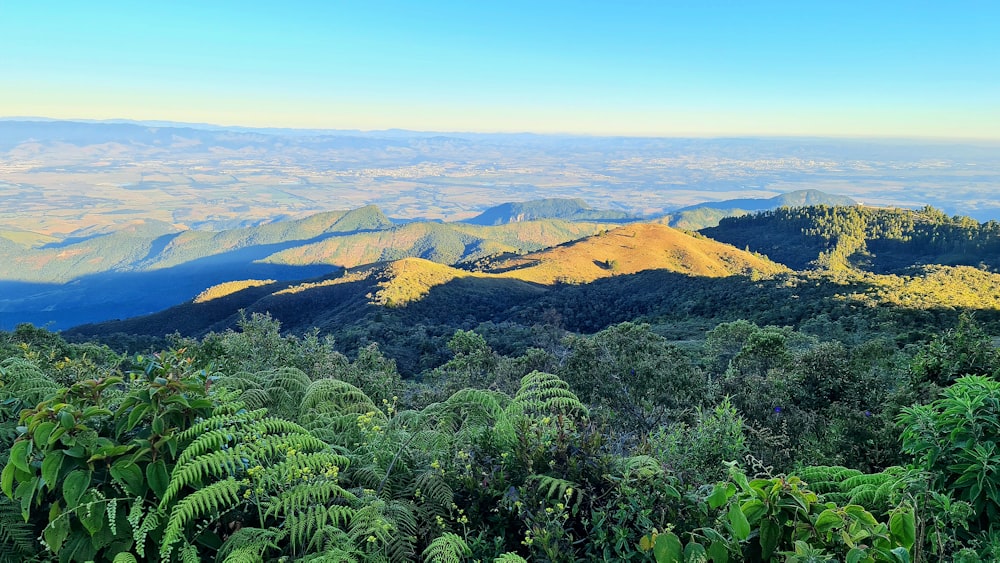 a view of a mountain range from a distance