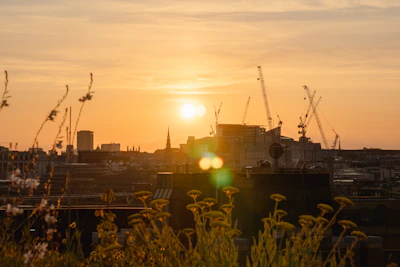 A sunrise over a city skyline with cranes in the distance.