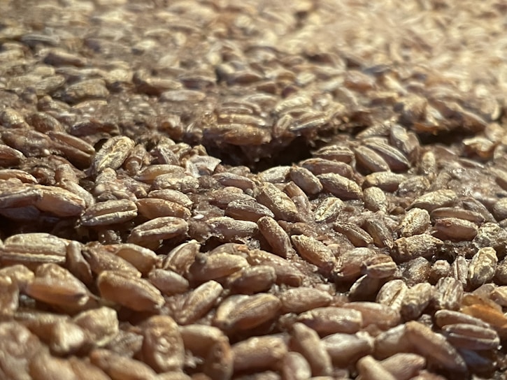 Close-up of golden millet grains spilling from a rustic burlap sack onto a wooden table.