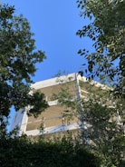 A partially constructed building is framed by lush green foliage, with a clear blue sky in the background. The structure appears to be made of concrete, with several floors visible.