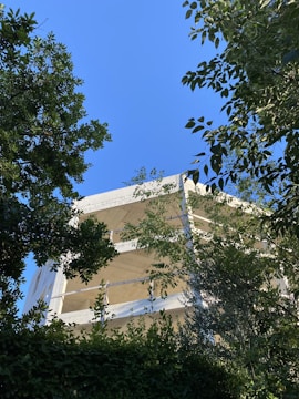 A partially constructed building is framed by lush green foliage, with a clear blue sky in the background. The structure appears to be made of concrete, with several floors visible.