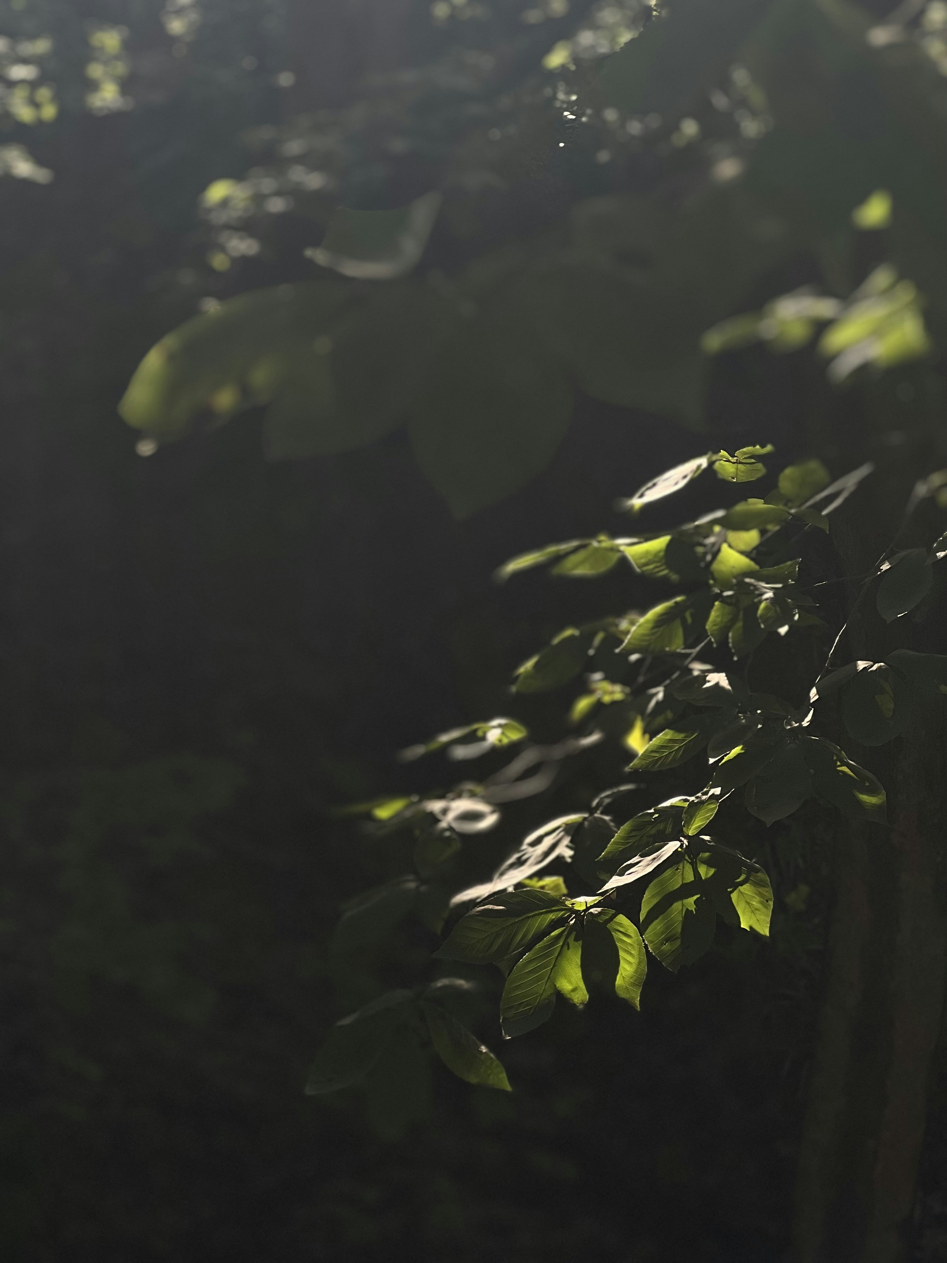 Photo by fatemehsharif