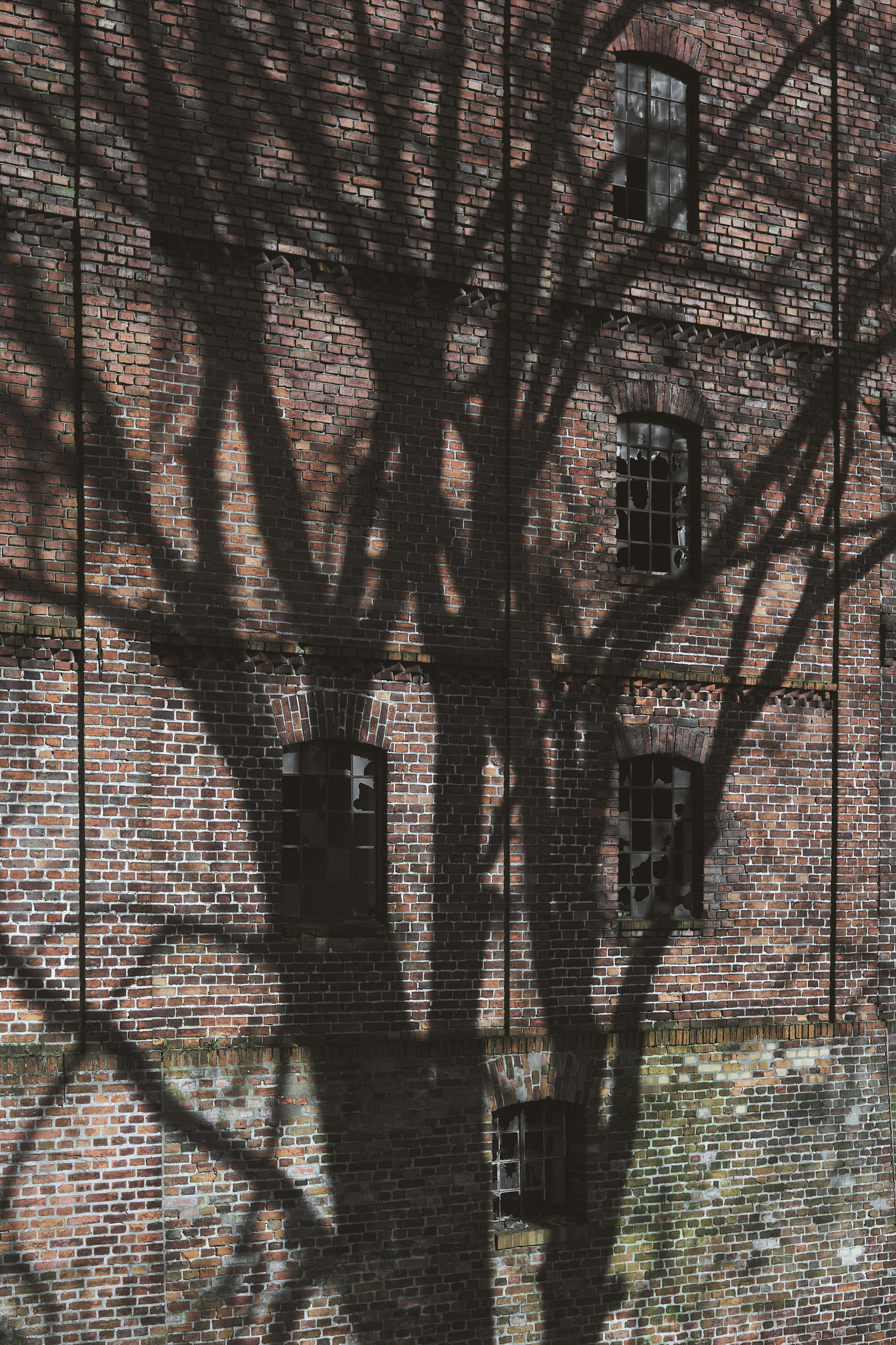 Photo by victor_vector