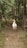 A white chicken standing on a dirt path surrounded by rustic wooden fences and lush greenery. The environment appears rural and natural, with an earthy and organic feel.