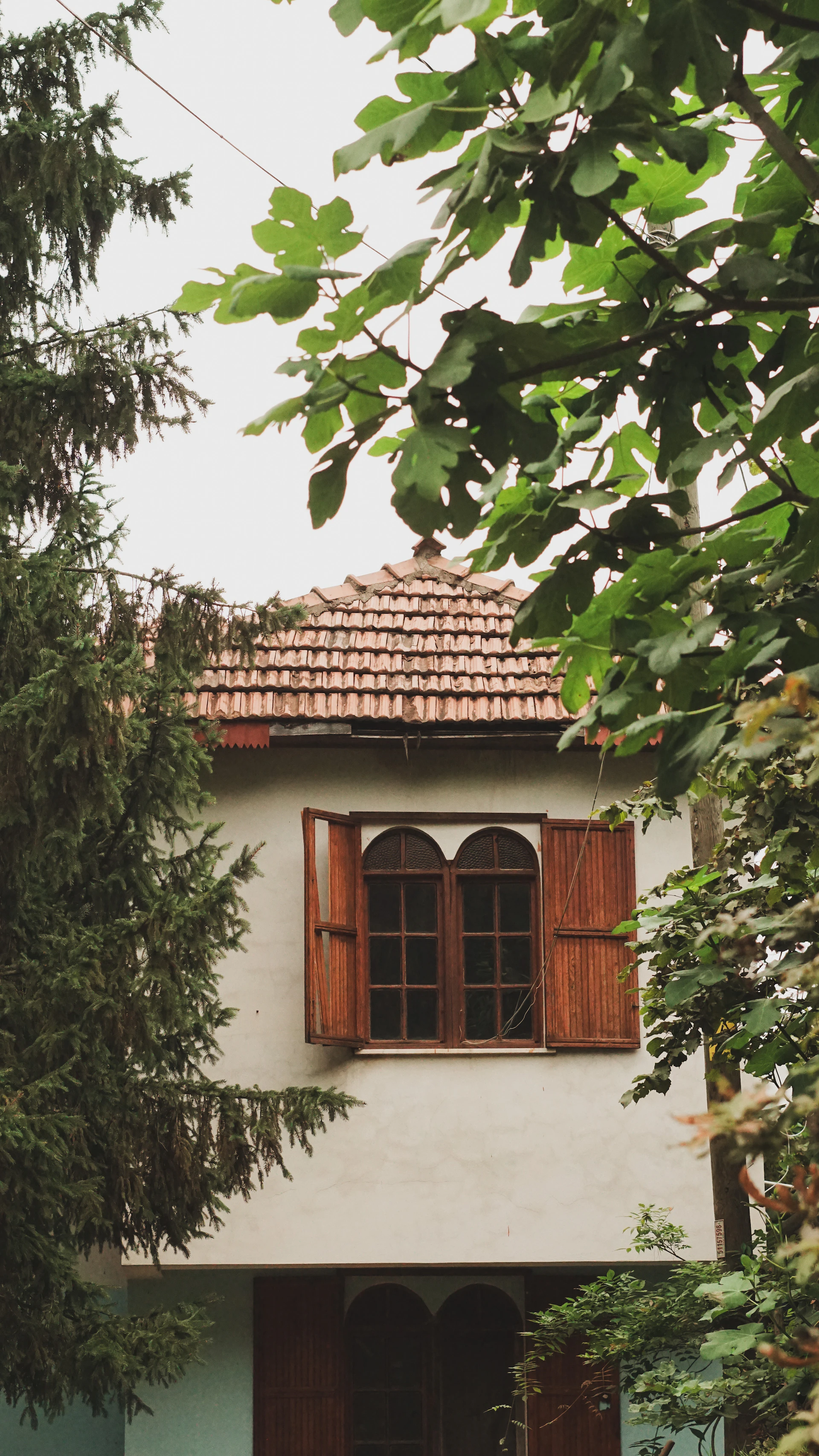 Cozy rustic house with wooden shutters and a sunlit patio filled with colorful potted plants, nestled in a peaceful Algarve village setting.
