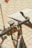 A close-up view of a bicycle handlebar equipped with a digital device, possibly a GPS or speedometer. There is a strap for holding items attached to the handlebar. In the background, part of a scooter and a person's hand are visible on a paved surface with a ramp or platform.
