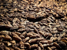 Close-up of fresh grains and pellets spilling from a burlap sack onto a wooden surface.