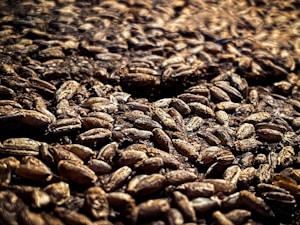 Multigrain Flour