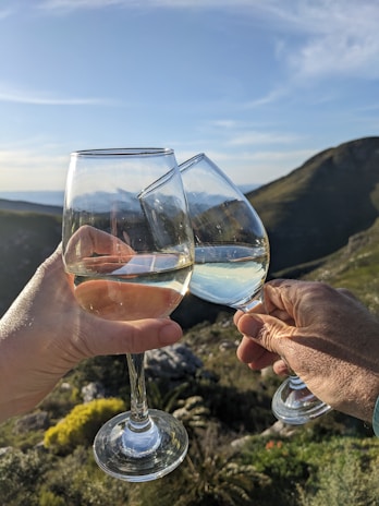 Close-up of wine glasses clinking with a scenic harbor in the background.