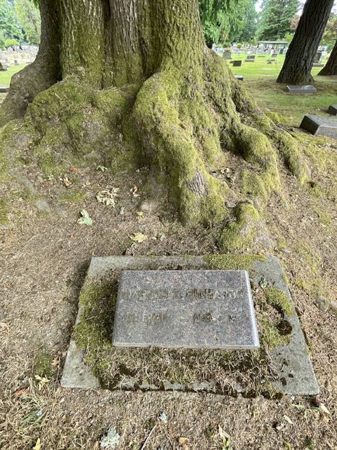 A large moss-covered tree with expansive roots is situated in a cemetery. A headstone with the name 'Harold G. Richards' along with birth and death dates is placed at the base of the tree. The ground is covered in moss and scattered leaves, while other headstones are visible in the background.