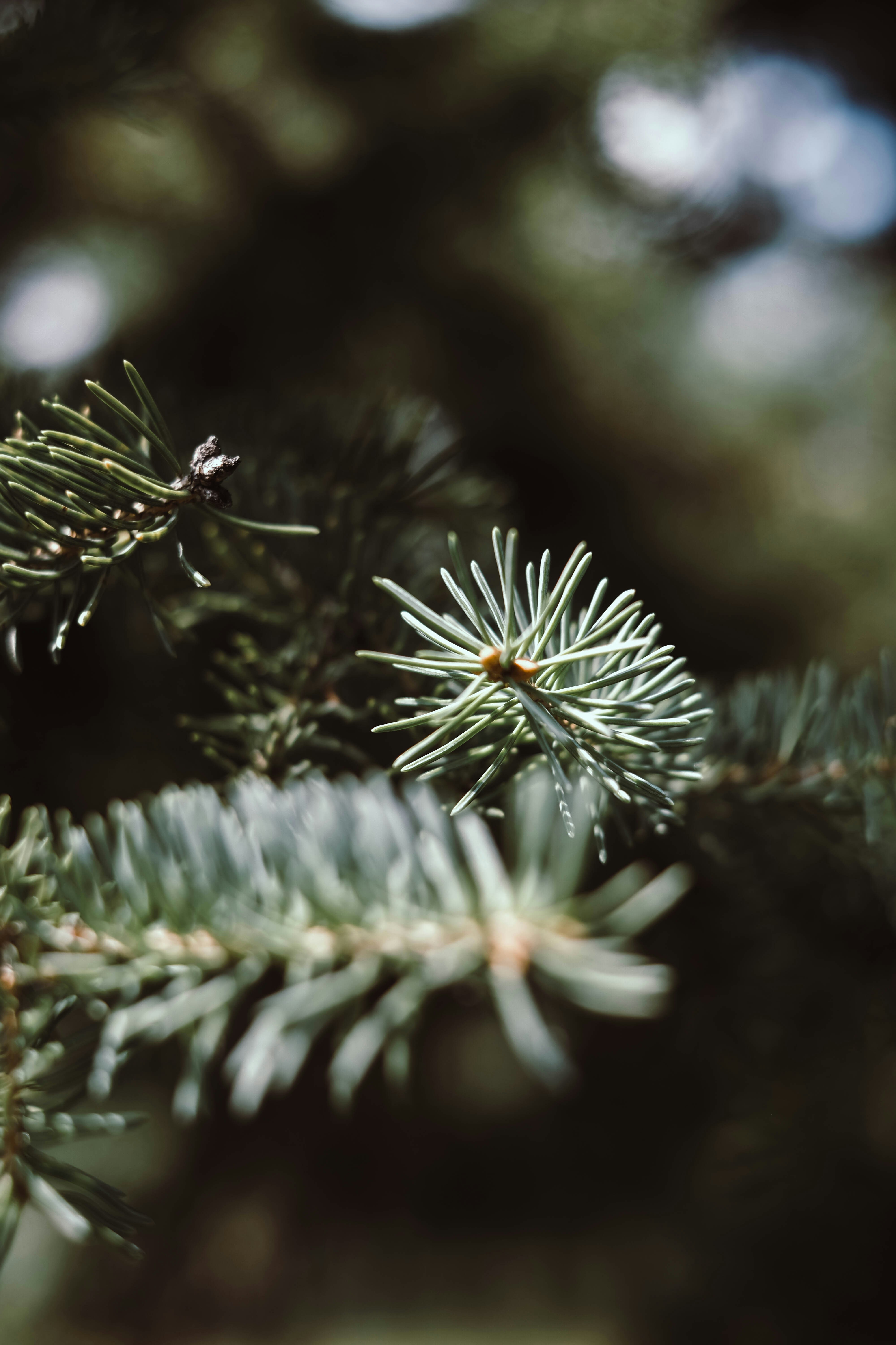 Photo by raphael_reyes_22